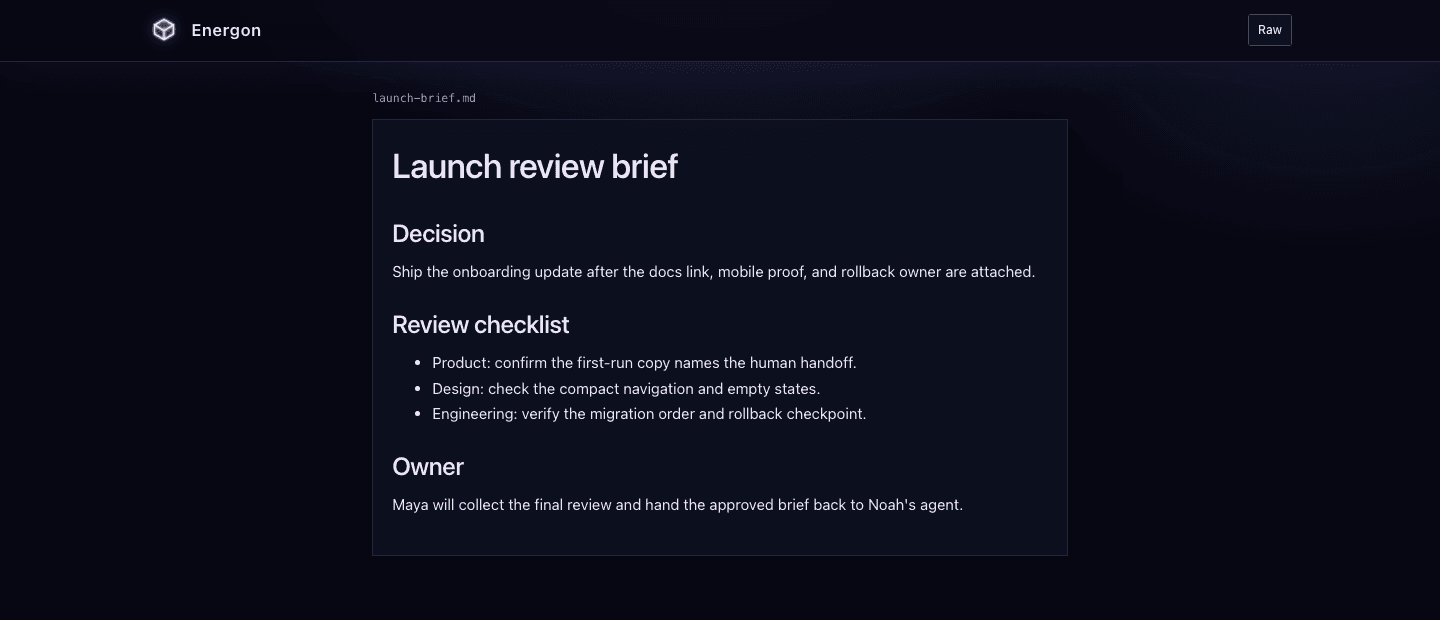 The published launch review brief rendered as a browser page with a Raw link.